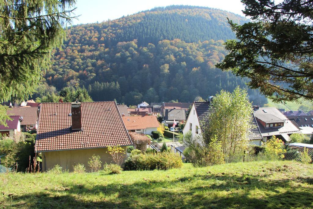 Vila Haus Panoramablick Sieber Pokoj fotografie